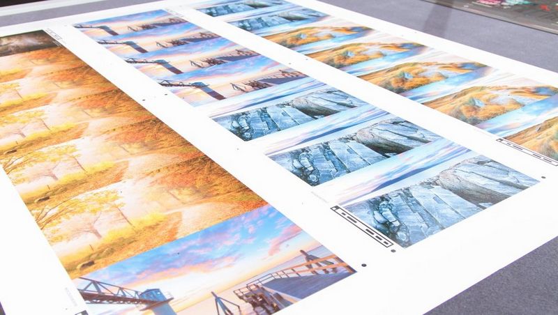 Flexibilidad para adaptarse a las necesidades actuales